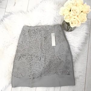 NWT Zero Degree Celsius Faux Leather Grey Skirt